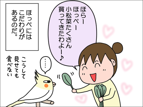 2306qhoppe02