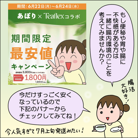 ティーフレックス09