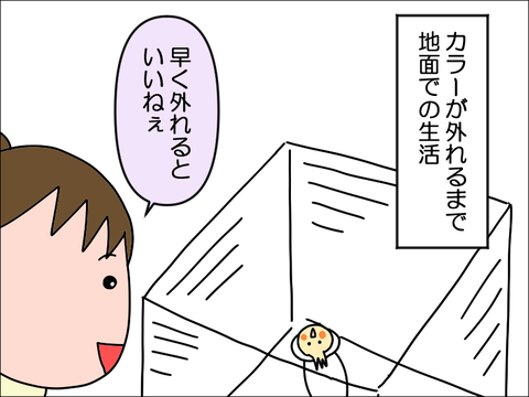 2406okame107