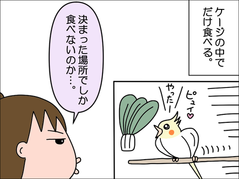 2306qhoppe04