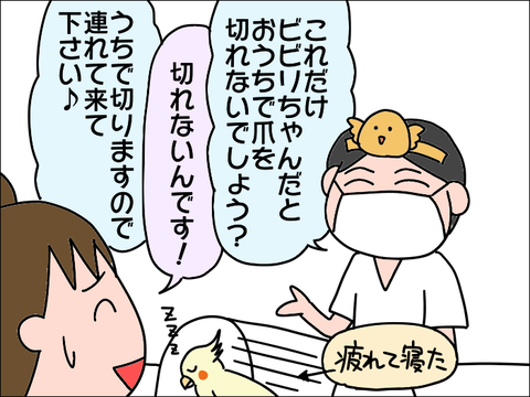2110hoppe27
