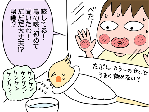 2406okame99