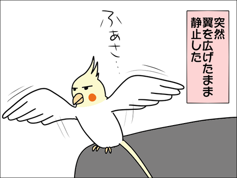 2108hoppe02