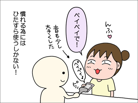 2406vpay14