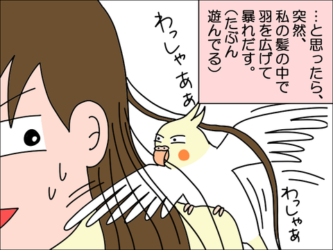 2211lhoppe04
