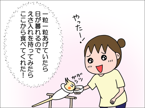 2406okame95