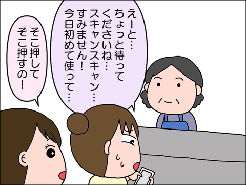 2406vpay08