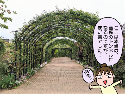 2304kbara03