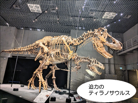 2303pkyo26