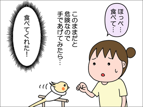 2406okame94