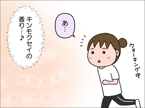 キンモクセイ@プロフィールご参考ください 【公式通販】