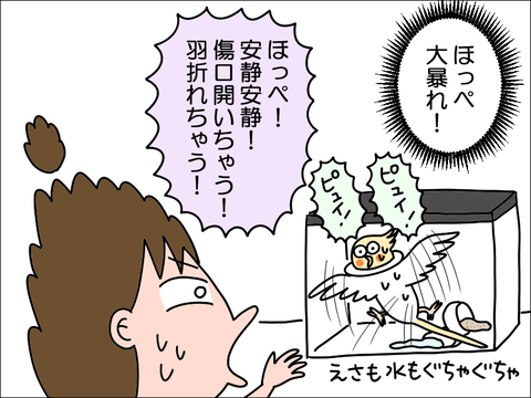 2406okame85