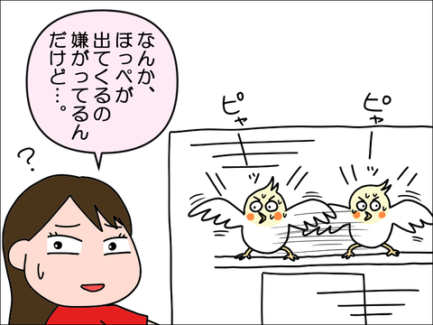 2205hoppe03