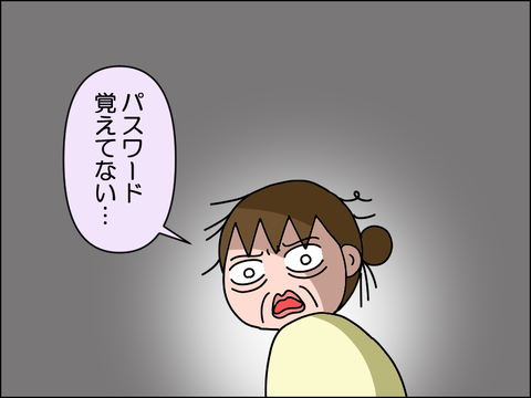 2605iface07