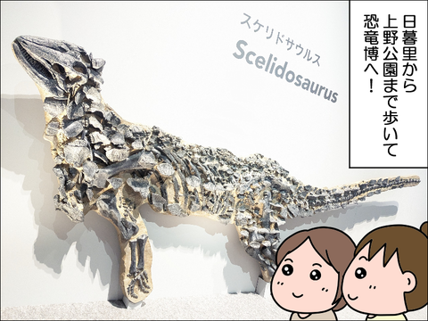 2303pkyo24