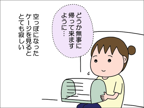 2406okame31