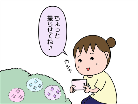 2406caji08