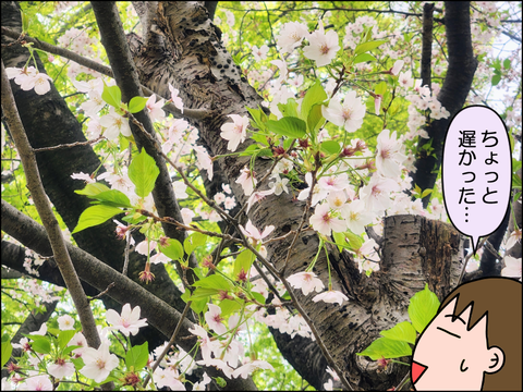 2604vsakura03