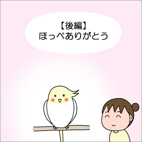 2410jhoppe17