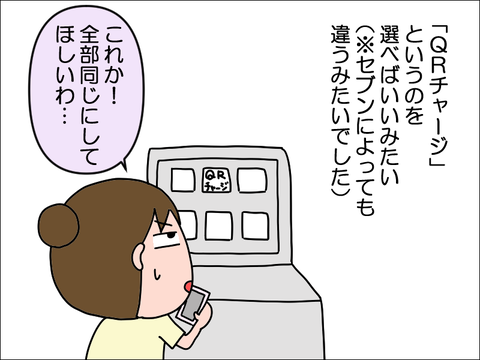 2406vpay13
