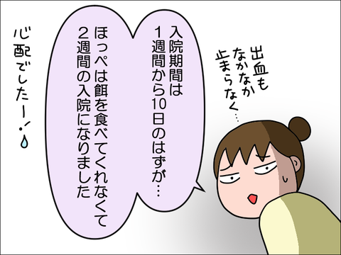 2406okame73