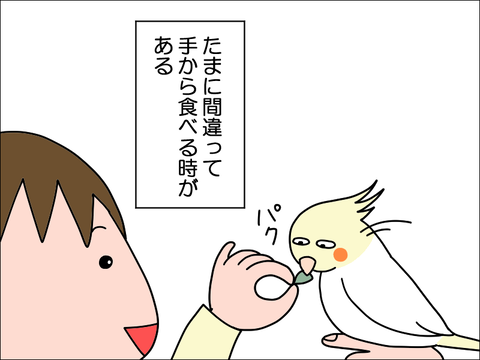 2306qhoppe05