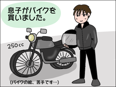 2009bike01