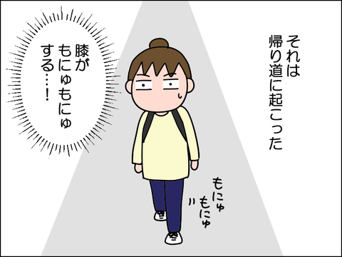 2511nsip04