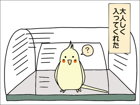2110hoppe17