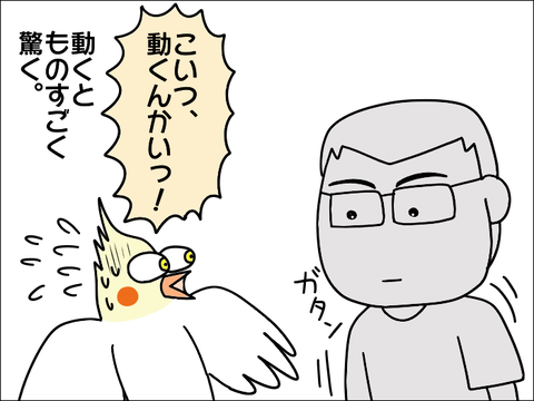 2106hoppe12