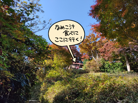 2011takaosan08
