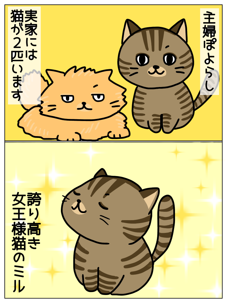 猫 ほのぼの主婦の気まぐれ日記 猫 ほのぼの主婦の気まぐれ日記