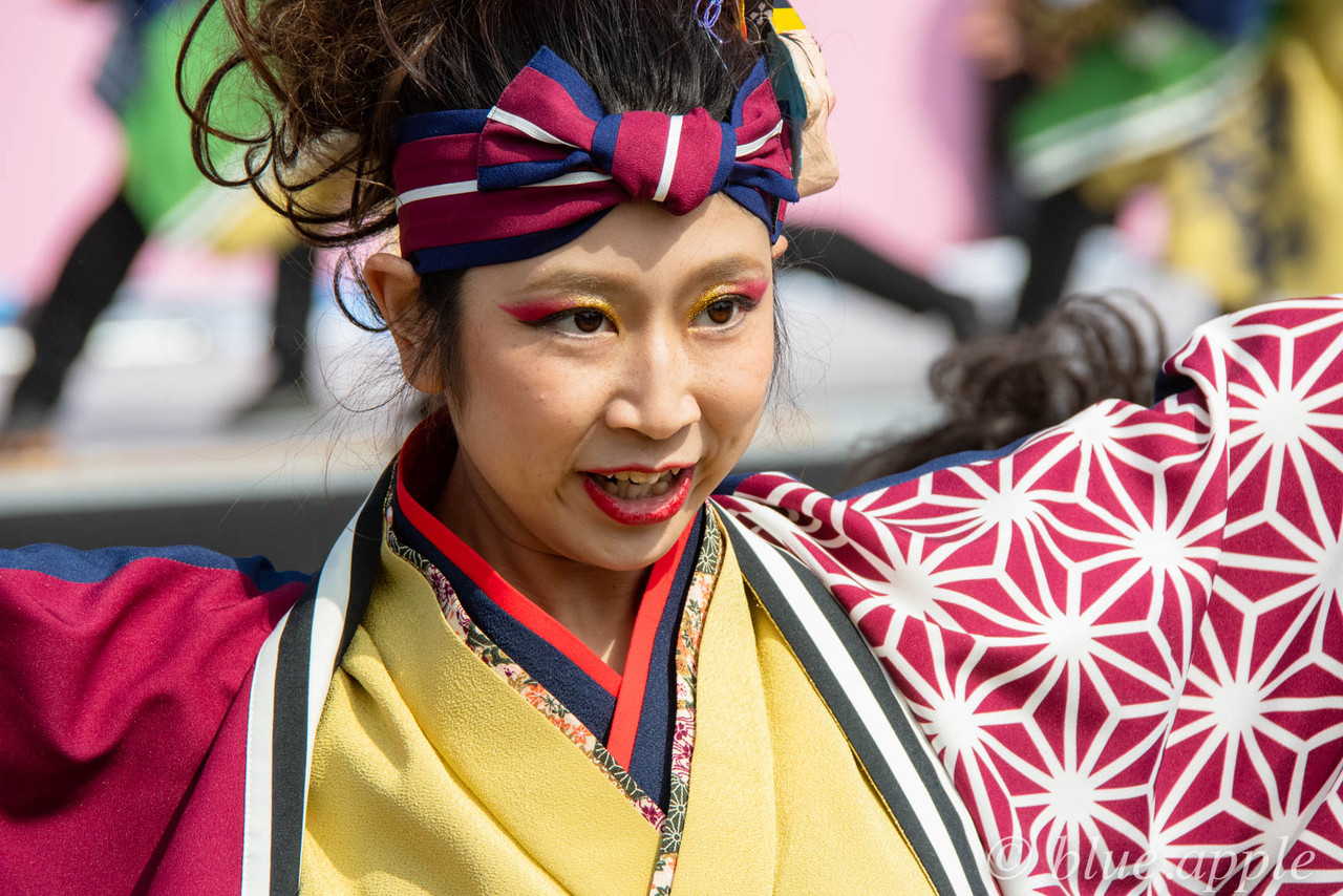 コンテスト 厄除けよさこい 2 Blue Appleのblog