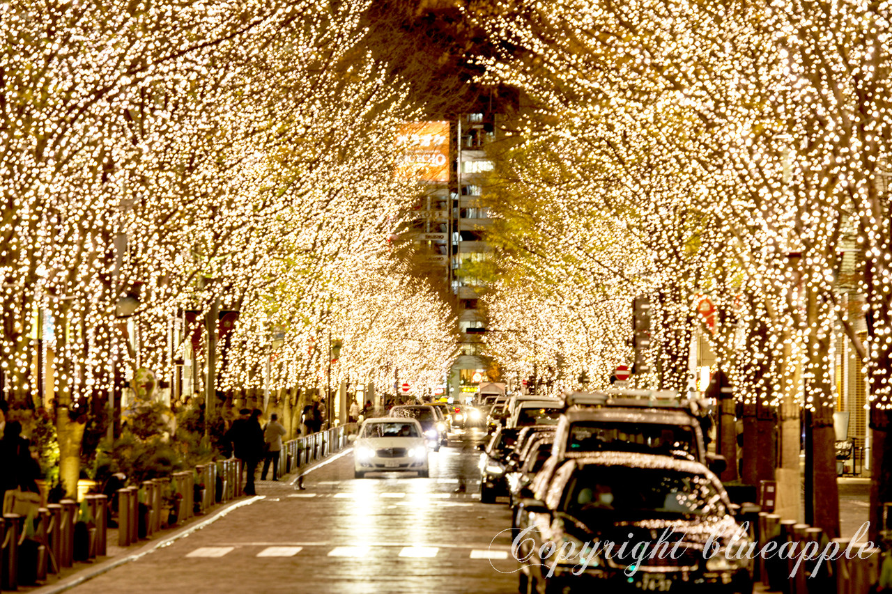 丸の内イルミネーション Blue Appleのblog