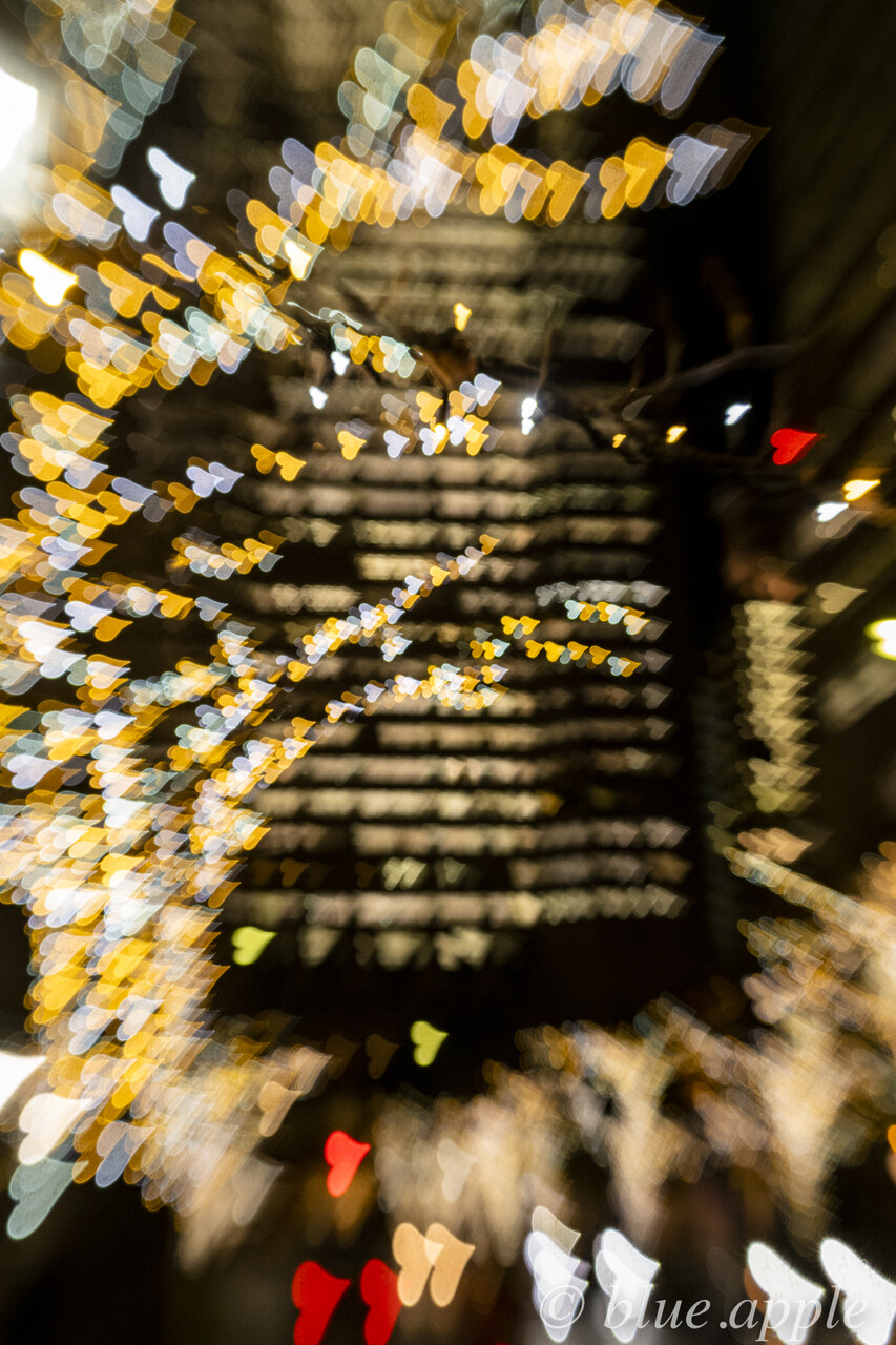 全館ライトアップ 横浜 みなとみらい Blue Appleのblog