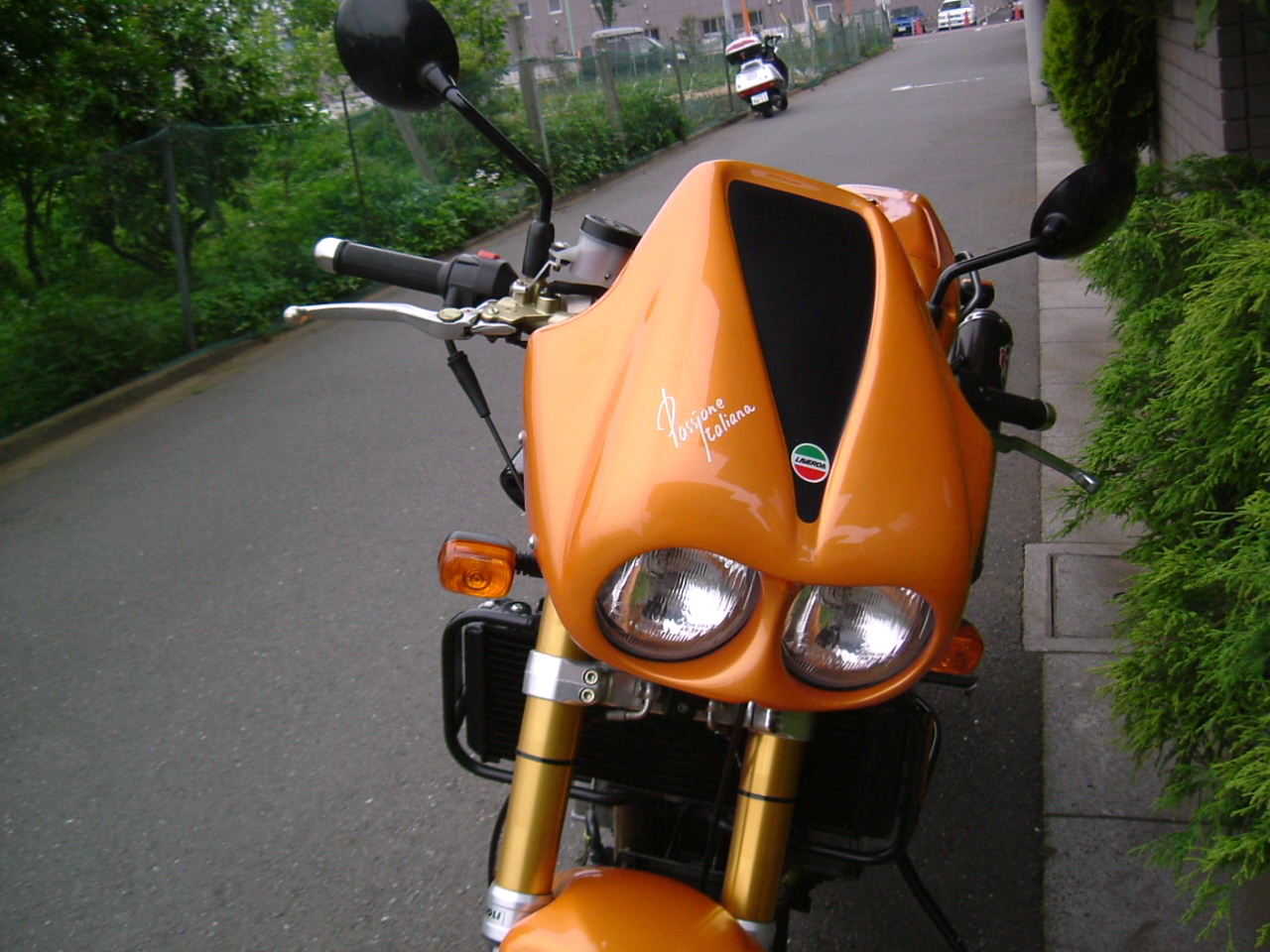 思いがけず New 天晴 じゅん ムックランド