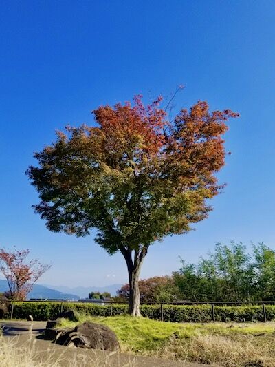 秋の空