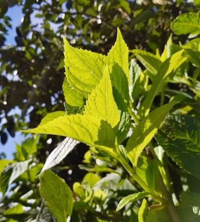 向かっていく