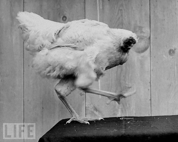 猟奇事件簿 首なし娘事件 っていう日本の事件ググったら気持ち悪かったよ リンゴジュース まとめ速報