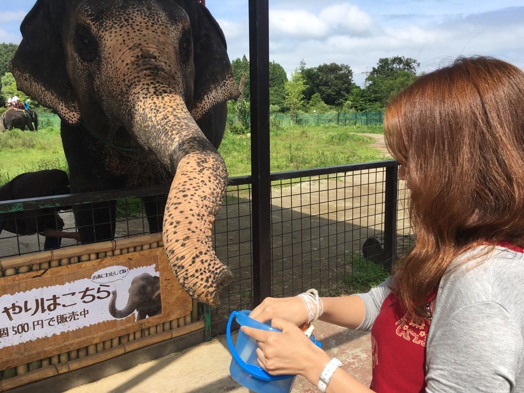 那須 アップル動物病院 診察日記 那須 アップル動物病院 診察日記
