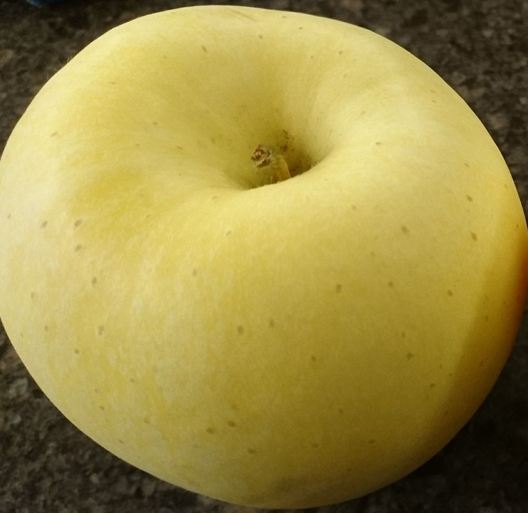 冬恋 リンゴについての覚え書き りんごジュース りんご商品のレビュー