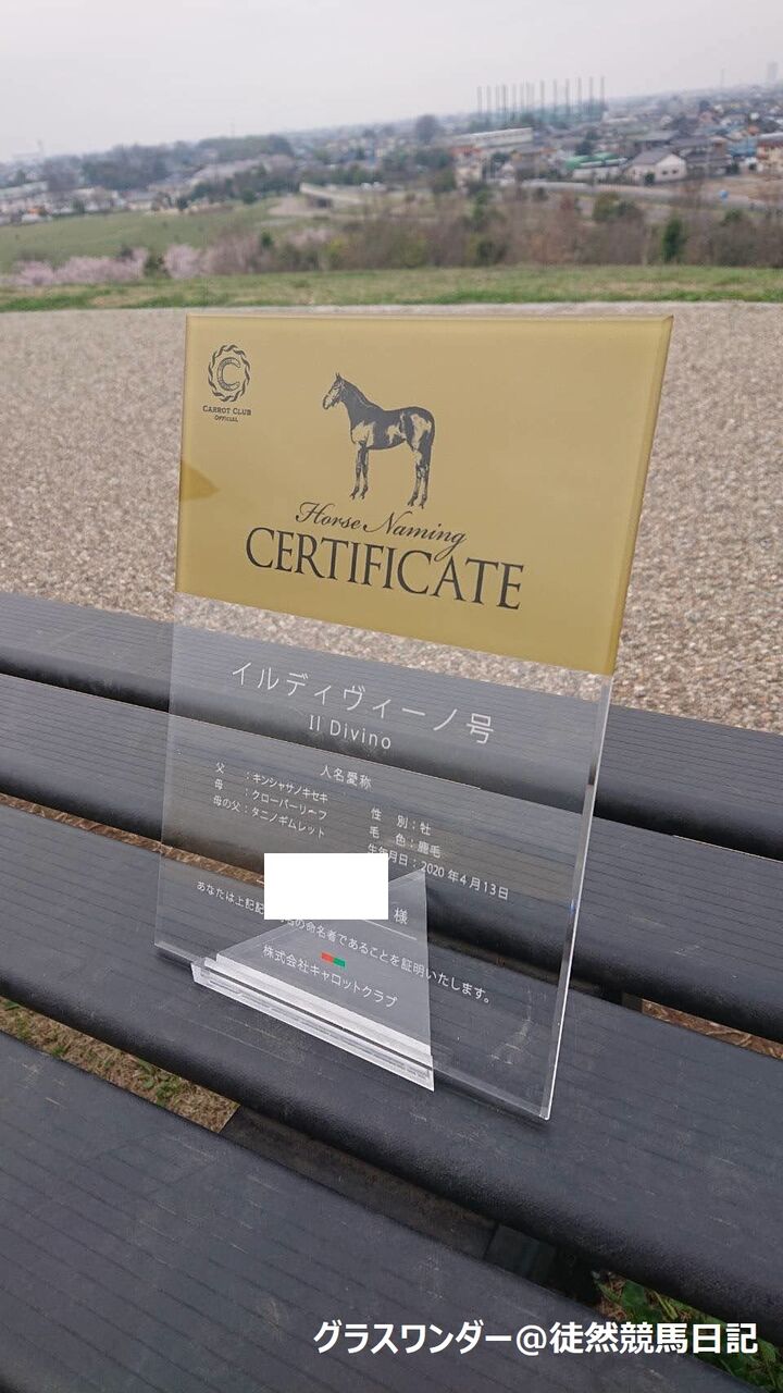 現役共有/出資馬一覧】8.29現在 : 【一口馬主考(個人馬含む
