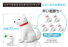 ����٤뤪�㤵��BIG���ȥ�å� �������ޤκ߸˾��� | SoftBank