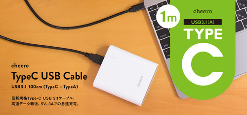 topimage_TypeC_USBcable