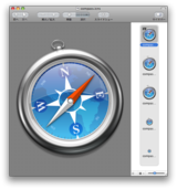 Safari iCon