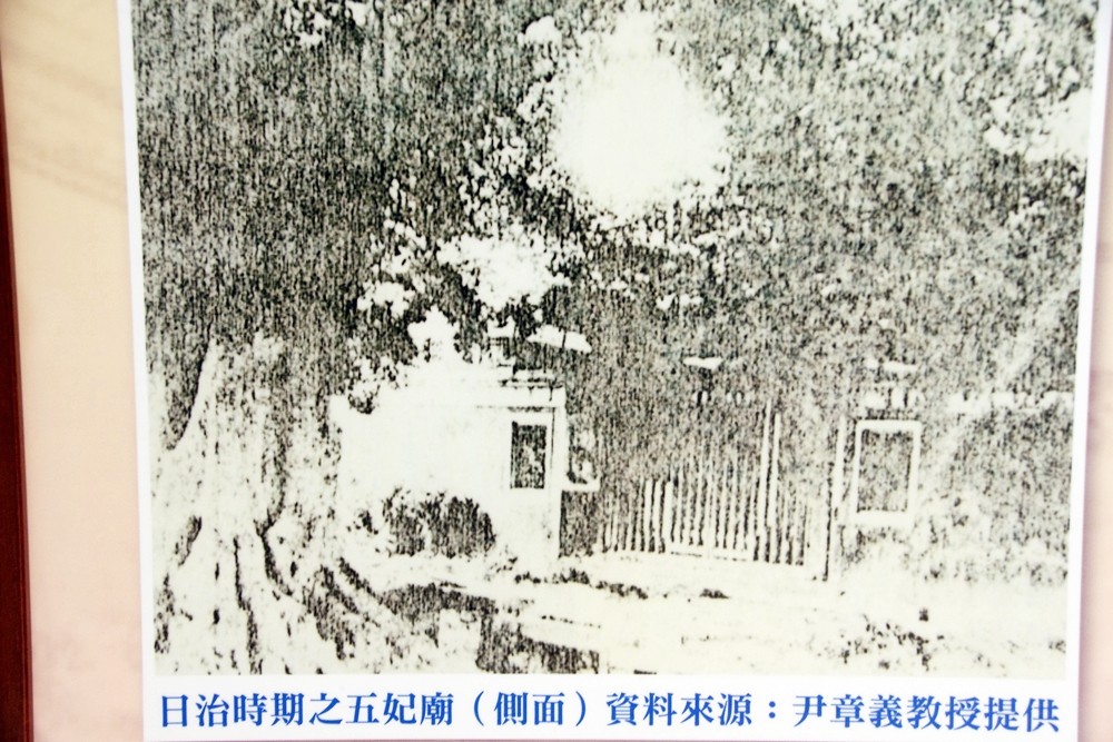 IMGP0106