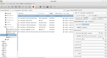 flac_tageditor_EasyTA