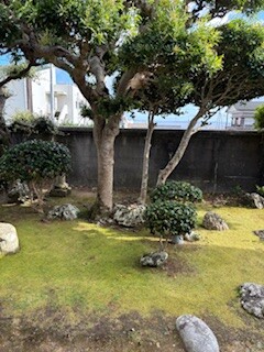 IMG_3543