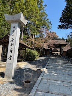 IMG_3007