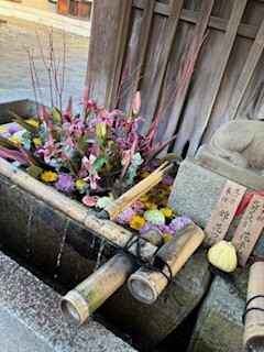 IMG_0230